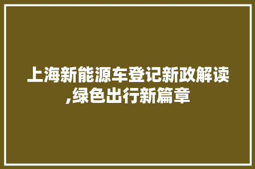 上海新能源车登记新政解读,绿色出行新篇章