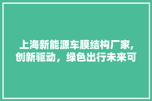 上海新能源车膜结构厂家,创新驱动，绿色出行未来可期