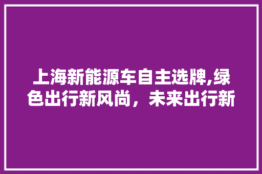 上海新能源车自主选牌,绿色出行新风尚，未来出行新选择