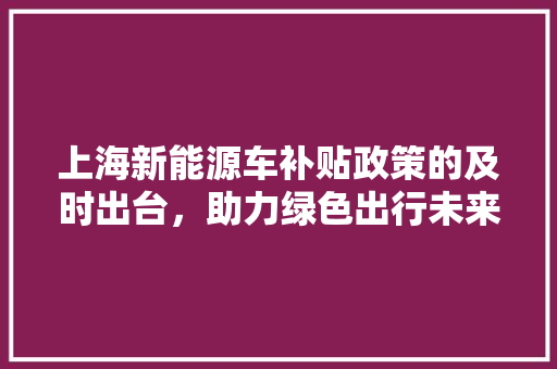 上海新能源车补贴政策的及时出台，助力绿色出行未来