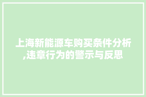 上海新能源车购买条件分析,违章行为的警示与反思