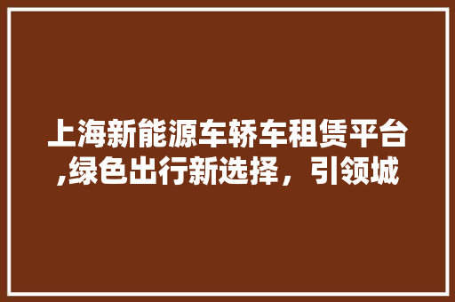上海新能源车轿车租赁平台,绿色出行新选择，引领城市低碳生活