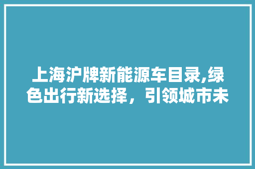 上海沪牌新能源车目录,绿色出行新选择，引领城市未来