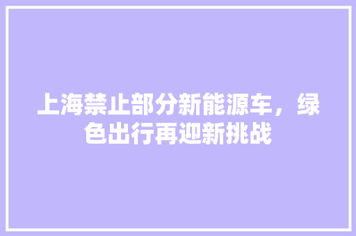 上海禁止部分新能源车，绿色出行再迎新挑战