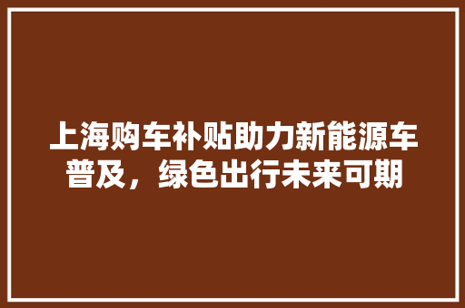 上海购车补贴助力新能源车普及，绿色出行未来可期