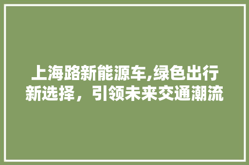 上海路新能源车,绿色出行新选择，引领未来交通潮流