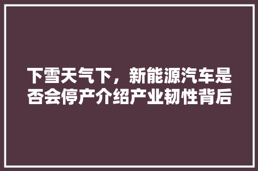 下雪天气下，新能源汽车是否会停产介绍产业韧性背后的真相