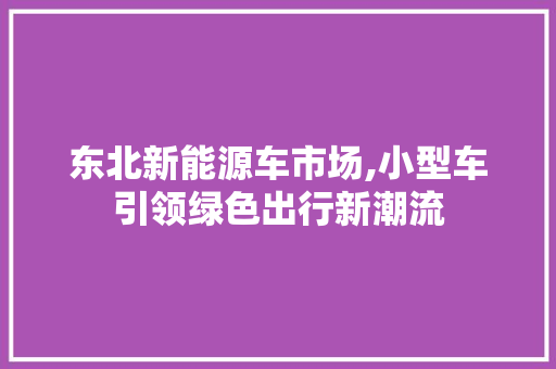 东北新能源车市场,小型车引领绿色出行新潮流