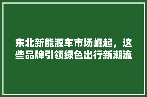 东北新能源车市场崛起，这些品牌引领绿色出行新潮流