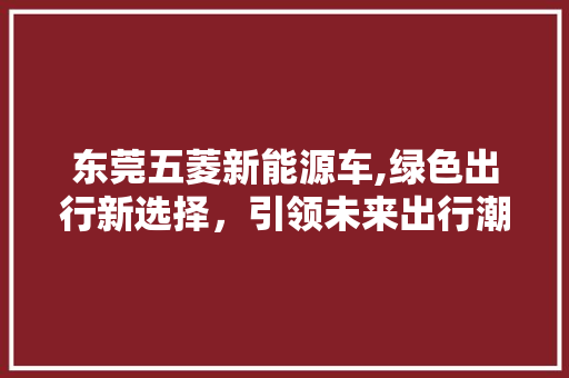 东莞五菱新能源车,绿色出行新选择，引领未来出行潮流