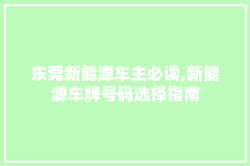 东莞新能源车主必读,新能源车牌号码选择指南