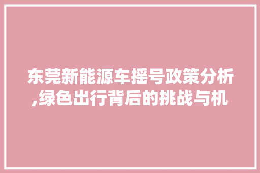 东莞新能源车摇号政策分析,绿色出行背后的挑战与机遇