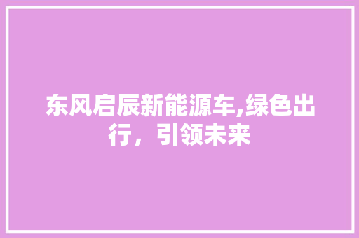 东风启辰新能源车,绿色出行，引领未来