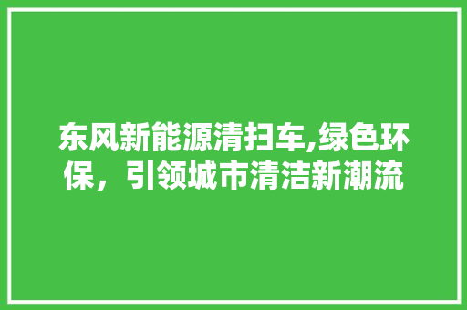 东风新能源清扫车,绿色环保，引领城市清洁新潮流