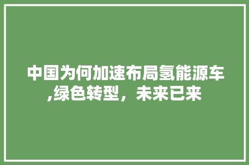 中国为何加速布局氢能源车,绿色转型，未来已来