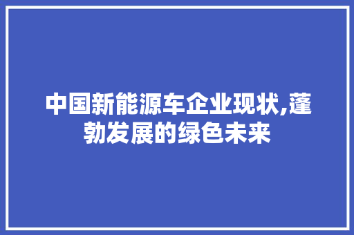 中国新能源车企业现状,蓬勃发展的绿色未来