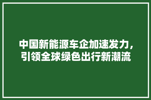 中国新能源车企加速发力，引领全球绿色出行新潮流