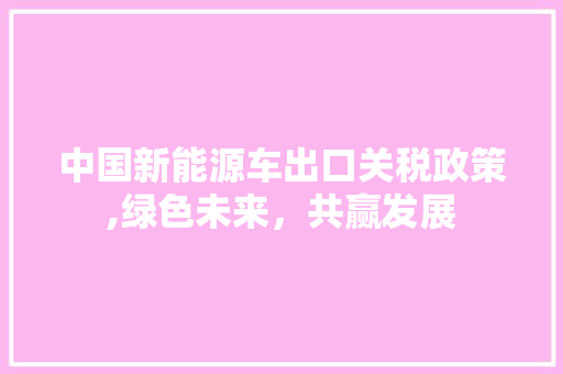 中国新能源车出口关税政策,绿色未来，共赢发展