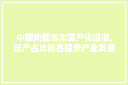 中国新能源车国产化浪潮,国产占比排名提示产业发展新趋势