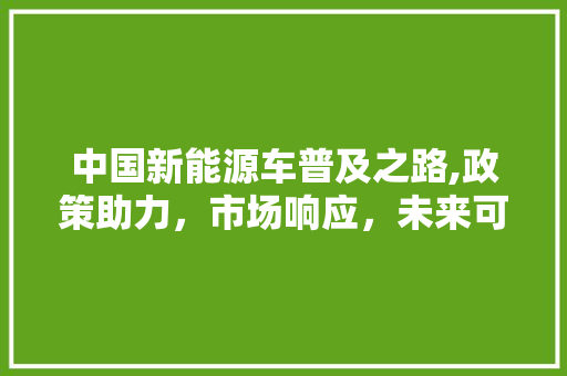 中国新能源车普及之路,政策助力，市场响应，未来可期