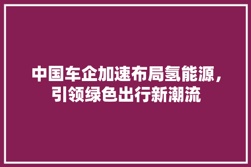 中国车企加速布局氢能源，引领绿色出行新潮流