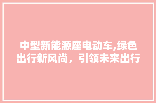 中型新能源座电动车,绿色出行新风尚，引领未来出行潮流