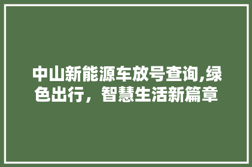 中山新能源车放号查询,绿色出行，智慧生活新篇章