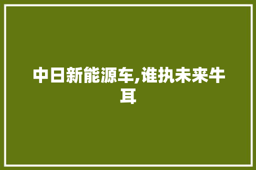 中日新能源车,谁执未来牛耳