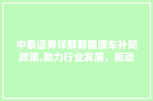 中泰证券详解新能源车补贴政策,助力行业发展，驱动绿色未来 变速箱配件