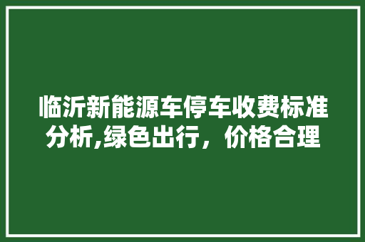 临沂新能源车停车收费标准分析,绿色出行，价格合理