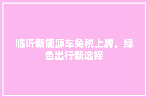 临沂新能源车免税上牌，绿色出行新选择