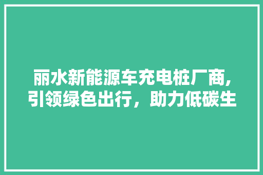 丽水新能源车充电桩厂商,引领绿色出行，助力低碳生活