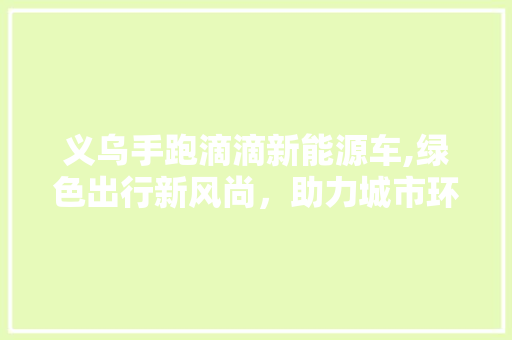 义乌手跑滴滴新能源车,绿色出行新风尚，助力城市环保发展