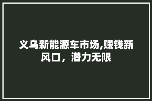 义乌新能源车市场,赚钱新风口，潜力无限