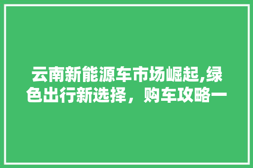 云南新能源车市场崛起,绿色出行新选择，购车攻略一览无余