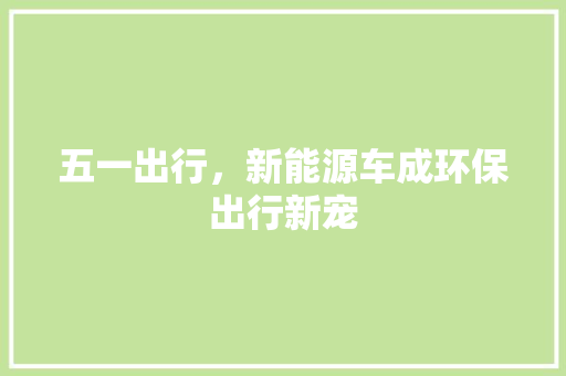 五一出行，新能源车成环保出行新宠