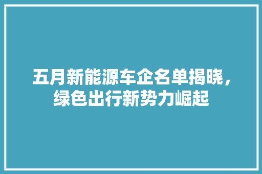 五月新能源车企名单揭晓，绿色出行新势力崛起