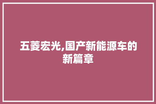 五菱宏光,国产新能源车的新篇章