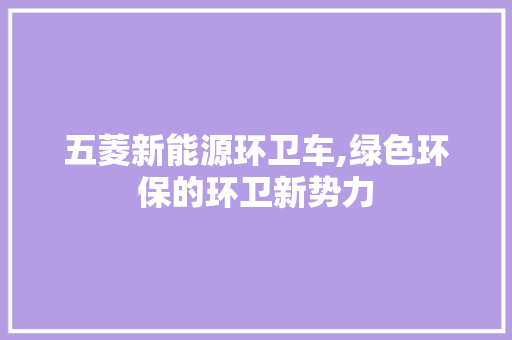 五菱新能源环卫车,绿色环保的环卫新势力