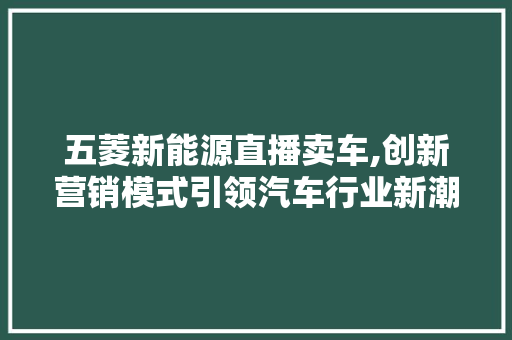 五菱新能源直播卖车,创新营销模式引领汽车行业新潮流