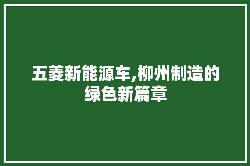 五菱新能源车,柳州制造的绿色新篇章