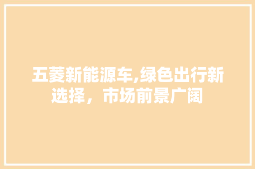 五菱新能源车,绿色出行新选择，市场前景广阔