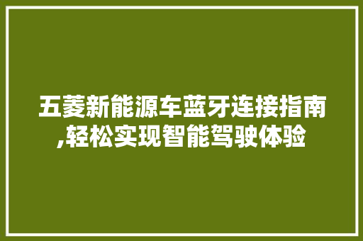 五菱新能源车蓝牙连接指南,轻松实现智能驾驶体验