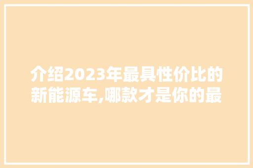 介绍2023年最具性价比的新能源车,哪款才是你的最佳选择