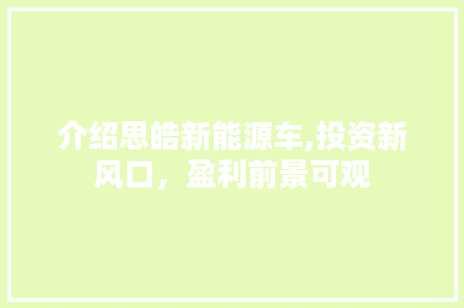 介绍思皓新能源车,投资新风口，盈利前景可观