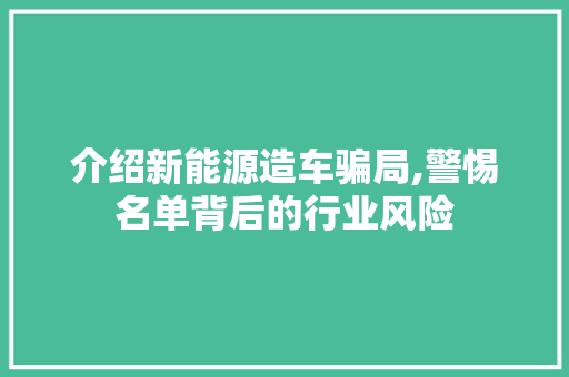 介绍新能源造车骗局,警惕名单背后的行业风险