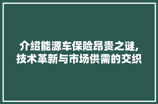 介绍能源车保险昂贵之谜,技术革新与市场供需的交织