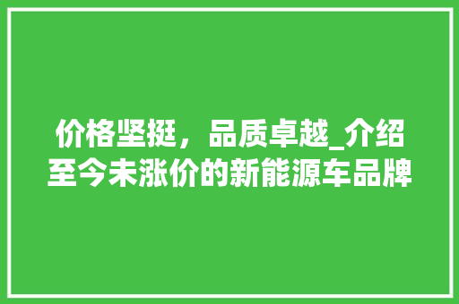价格坚挺，品质卓越_介绍至今未涨价的新能源车品牌