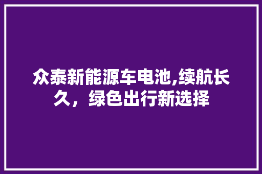 众泰新能源车电池,续航长久，绿色出行新选择