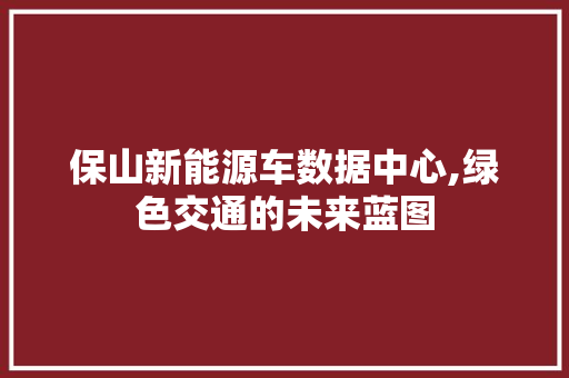 保山新能源车数据中心,绿色交通的未来蓝图